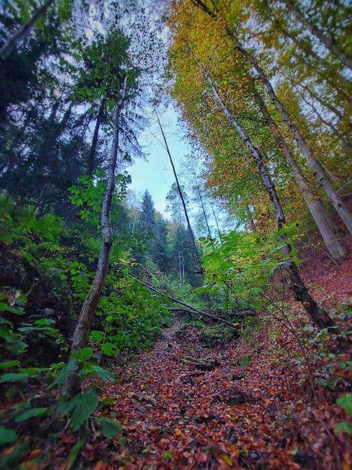 Appartamento Wohnen Im Gruenen Graz Esterno foto
